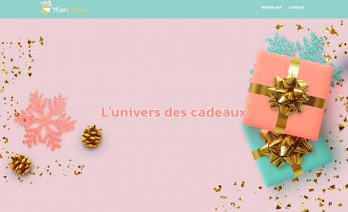 https://www.maxi-promo.fr
